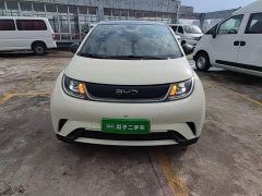 BYD Dolphin Glory Edition 420km Fashion Version - ფოტო 3
