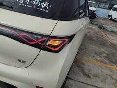 BYD Dolphin Glory Edition 420km Fashion Version - ფოტო 8