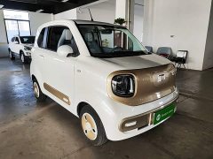 FAW Besturn Xiaoma 222km Dynamic Edition - ფოტო 4