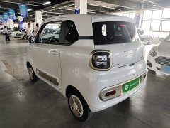FAW Besturn Xiaoma 222km Dynamic Edition - ფოტო 5