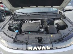 Haval Xiaolong MAX Hi4 165 Ultra Intelligent Driving Edition - ფოტო 20