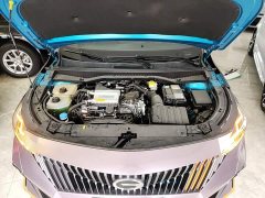 GAC Trumpchi GS3 Emzoom 270T R-STYLE Edition - ფოტო 20