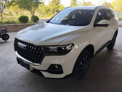 Haval H6 2023 National Trend Edition 1.5T Automatic Urban Version - ფოტო 2