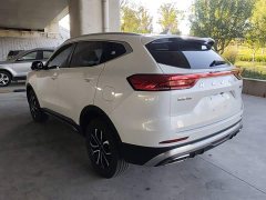 Haval H6 2023 National Trend Edition 1.5T Automatic Urban Version - ფოტო 5