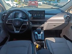 BYD Yuan Pro 401KM Luxury - ფოტო 10