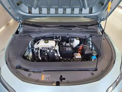 SAIC MG D6 520km Smart Comfort Edition - ფოტო 20