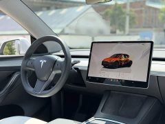 Tesla Model Y Long Range All-Wheel Drive - ფოტო 11