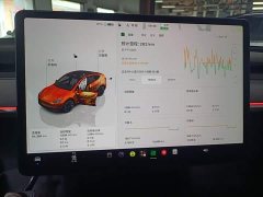 Tesla Model Y Long Range All-Wheel Drive - ფოტო 12