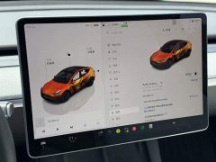 Tesla Model Y Long Range All-Wheel Drive - ფოტო 13