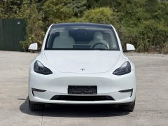 Tesla Model Y Long Range All-Wheel Drive - ფოტო 3