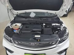Geely Bingyue 2020 240T Manual Archer - ფოტო 18