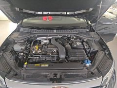 Volkswagen Sagitar 300TSI DSG Excellence Edition - ფოტო 20