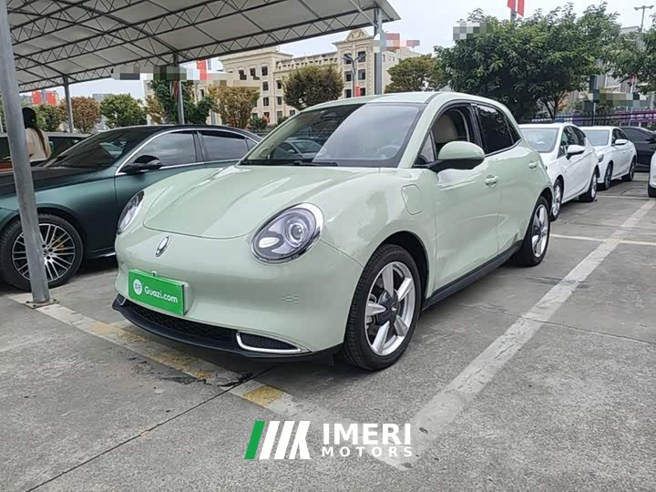 ORA Good Cat 401km Standard Range Luxury LFP - ავტომობილი ჩინეთიდან