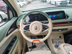 ORA Good Cat 401km Standard Range Luxury LFP - ფოტო 11