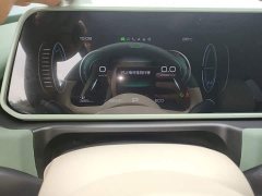 ORA Good Cat 401km Standard Range Luxury LFP - ფოტო 12