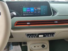 ORA Good Cat 401km Standard Range Luxury LFP - ფოტო 13