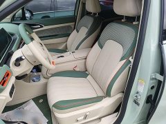 ORA Good Cat 401km Standard Range Luxury LFP - ფოტო 15