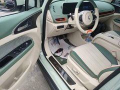 ORA Good Cat 401km Standard Range Luxury LFP - ფოტო 16