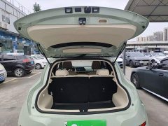 ORA Good Cat 401km Standard Range Luxury LFP - ფოტო 19