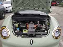 ORA Good Cat 401km Standard Range Luxury LFP - ფოტო 20