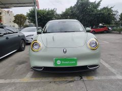 ORA Good Cat 401km Standard Range Luxury LFP - ფოტო 3
