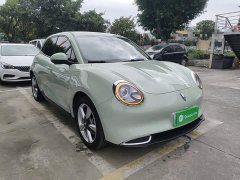 ORA Good Cat 401km Standard Range Luxury LFP - ფოტო 4