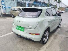 ORA Good Cat 401km Standard Range Luxury LFP - ფოტო 7