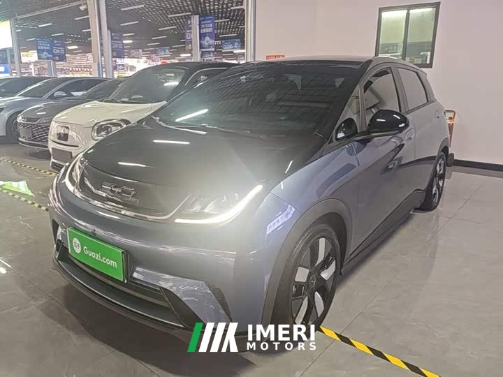 BYD Dolphin 401km Knight Edition - ავტომობილი ჩინეთიდან