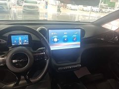 BYD Dolphin 401km Knight Edition - ფოტო 10