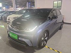 BYD Dolphin 401km Knight Edition - ფოტო 2