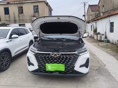 Chery Tiggo 8 PRO 2024 Champion Edition 290T Two-Wheel Drive Radiant Edition 5-Seater - ფოტო 20