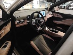 BYD Seagull Freedom Edition - ფოტო 16