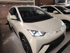 BYD Seagull Freedom Edition - ფოტო 4
