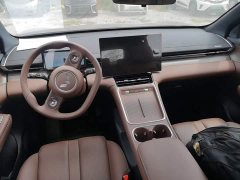 Wuling Starlight S 2024 130km Flagship - ფოტო 10