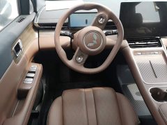 Wuling Starlight S 2024 130km Flagship - ფოტო 11