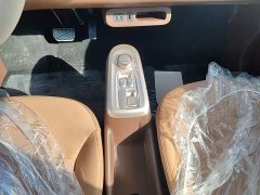 Changan Lumin Treasure Edition 205km Cool Love White CATL - ფოტო 14