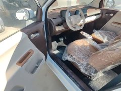 Changan Lumin Treasure Edition 205km Cool Love White CATL - ფოტო 16