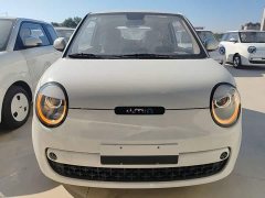 Changan Lumin Treasure Edition 205km Cool Love White CATL - ფოტო 3