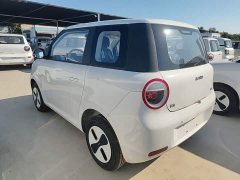 Changan Lumin Treasure Edition 205km Cool Love White CATL - ფოტო 5