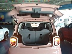 FAW Besturn Xiaoma 222km Agile Edition - ფოტო 19