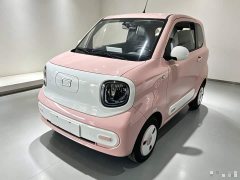 FAW Besturn Xiaoma 222km Agile Edition - ფოტო 2
