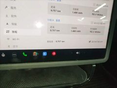 Tesla Model 3 Rear-Wheel Drive - ფოტო 12
