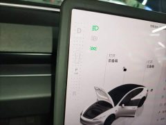 Tesla Model 3 Rear-Wheel Drive - ფოტო 14
