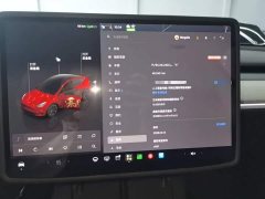 Tesla Model Y Rear-Wheel Drive - ფოტო 12