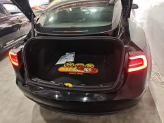 Tesla Model 3 Standard Range RWD Upgrade - ფოტო 19