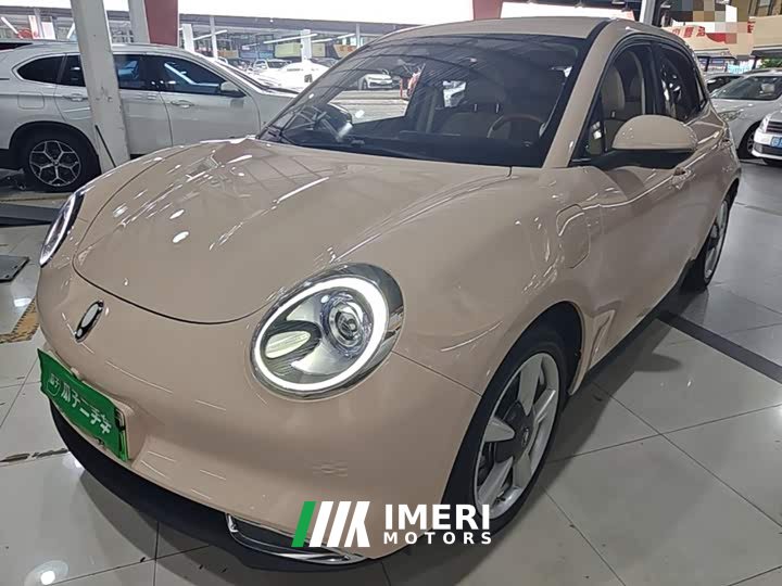 ORA Good Cat Morandi Edition 400km Standard Range Two-Year Lite Version LFP Battery - ავტომობილი ჩინეთიდან