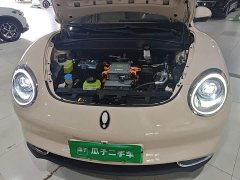 ORA Good Cat Morandi Edition 400km Standard Range Two-Year Lite Version LFP Battery - ფოტო 20