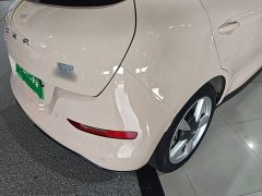 ORA Good Cat Morandi Edition 400km Standard Range Two-Year Lite Version LFP Battery - ფოტო 8