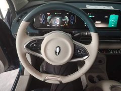 ORA Good Cat 401km Luxury - ფოტო 11