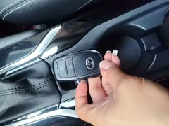 Toyota Frontlander 2.0L CVT Luxury - ფოტო 17